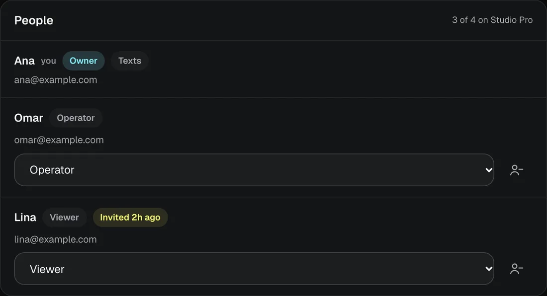 The Team page: the owner, an operator and a viewer, each with their role.